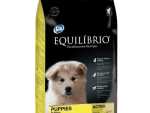 Equilibrio - Perro - Cachorro 18K